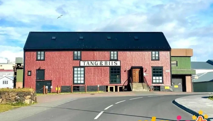 Vinnustofan Tang Riis Listamaður - Stykkishólmur