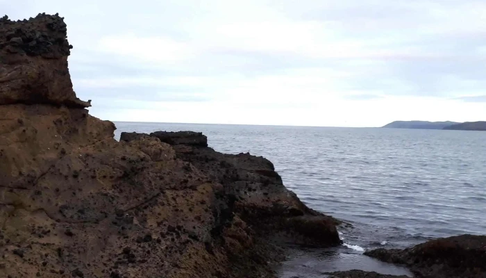 Vitinn I Gjogurta Simi - Garður