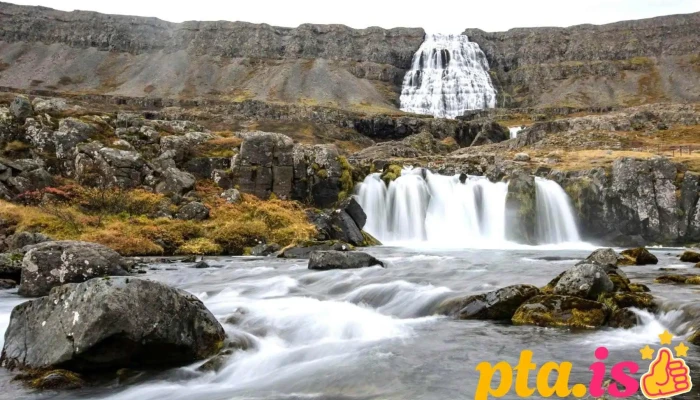 Westfjords Adventures -  Ferðamannastaður - Patreksfjörður