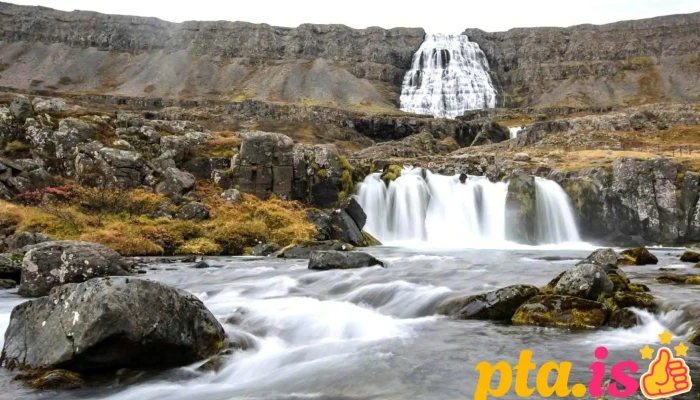 Westfjords Adventures - Patreksfjörður