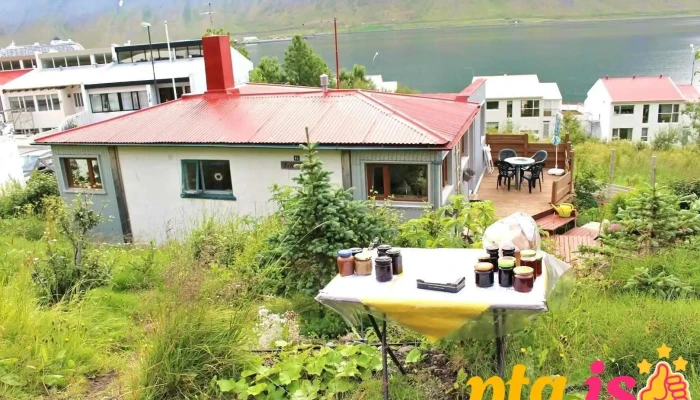 Westfjords-Experiences - Ísafjörður