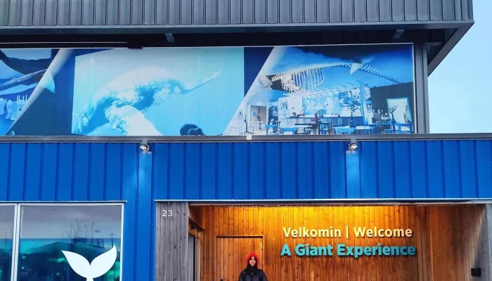 Whales Of Iceland -  Einkunn - Reykjavík