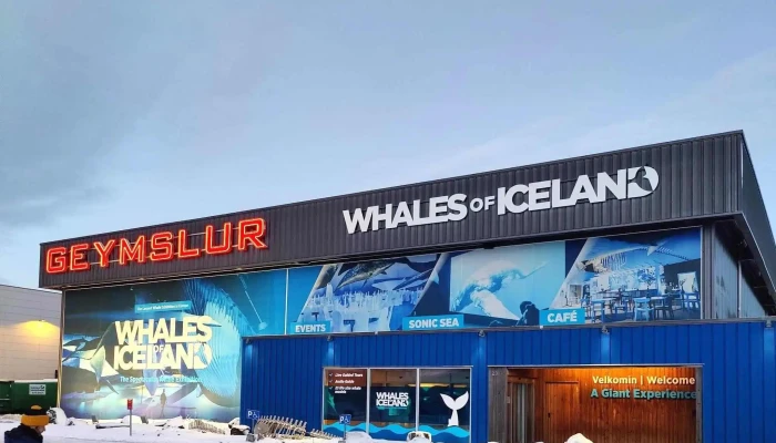 Whales Of Iceland -  Svæði - Reykjavík