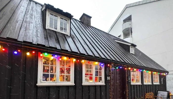 Your Friend In Reykjavik -  Afslættir - Reykjavík
