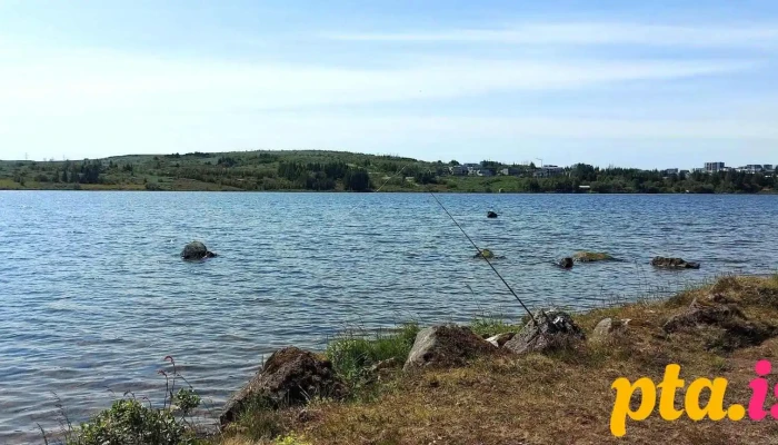 Þingnes - Kópavogur