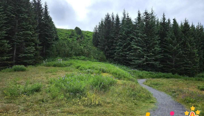 Þjóðhátíðarlundur - 408